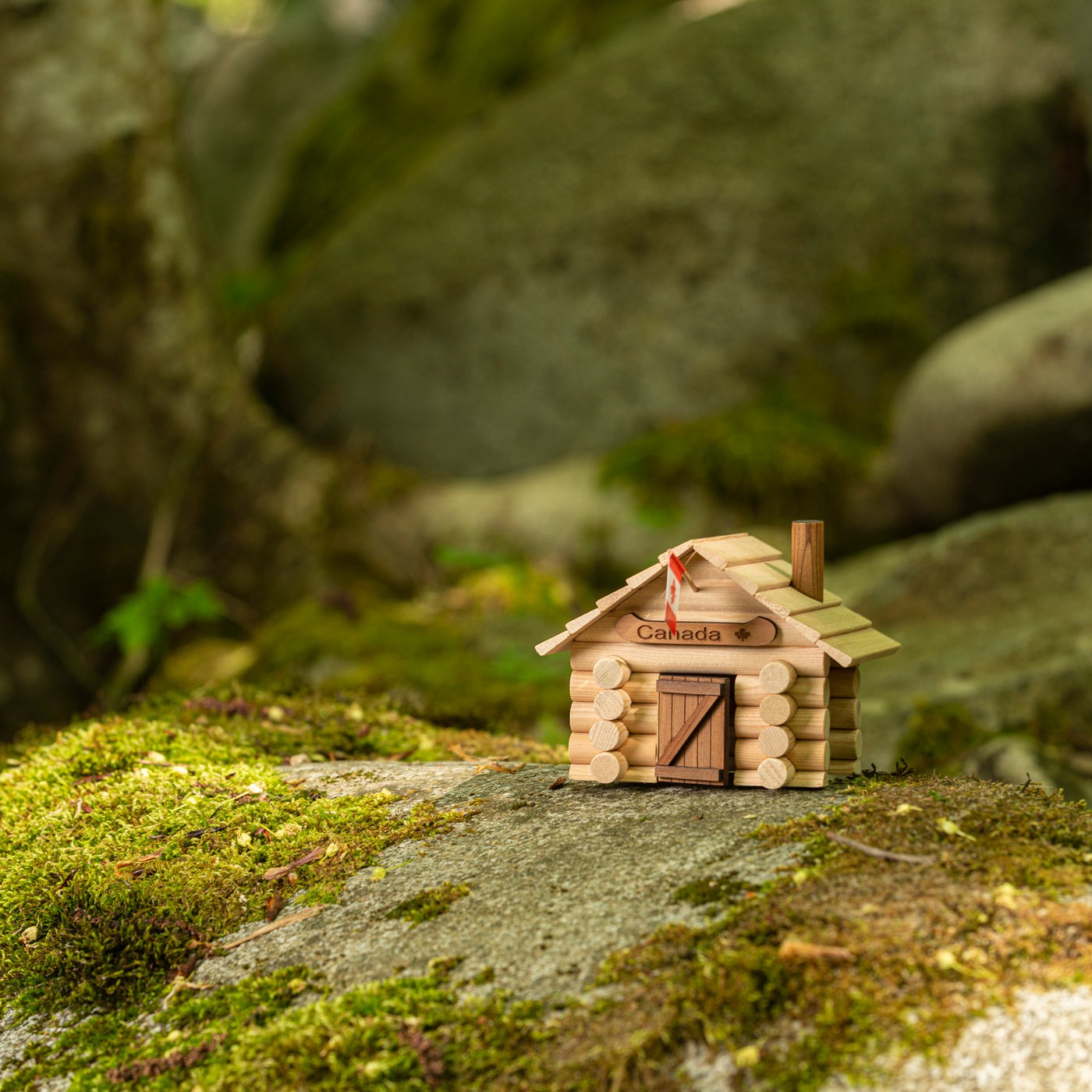 Settler's Cabin